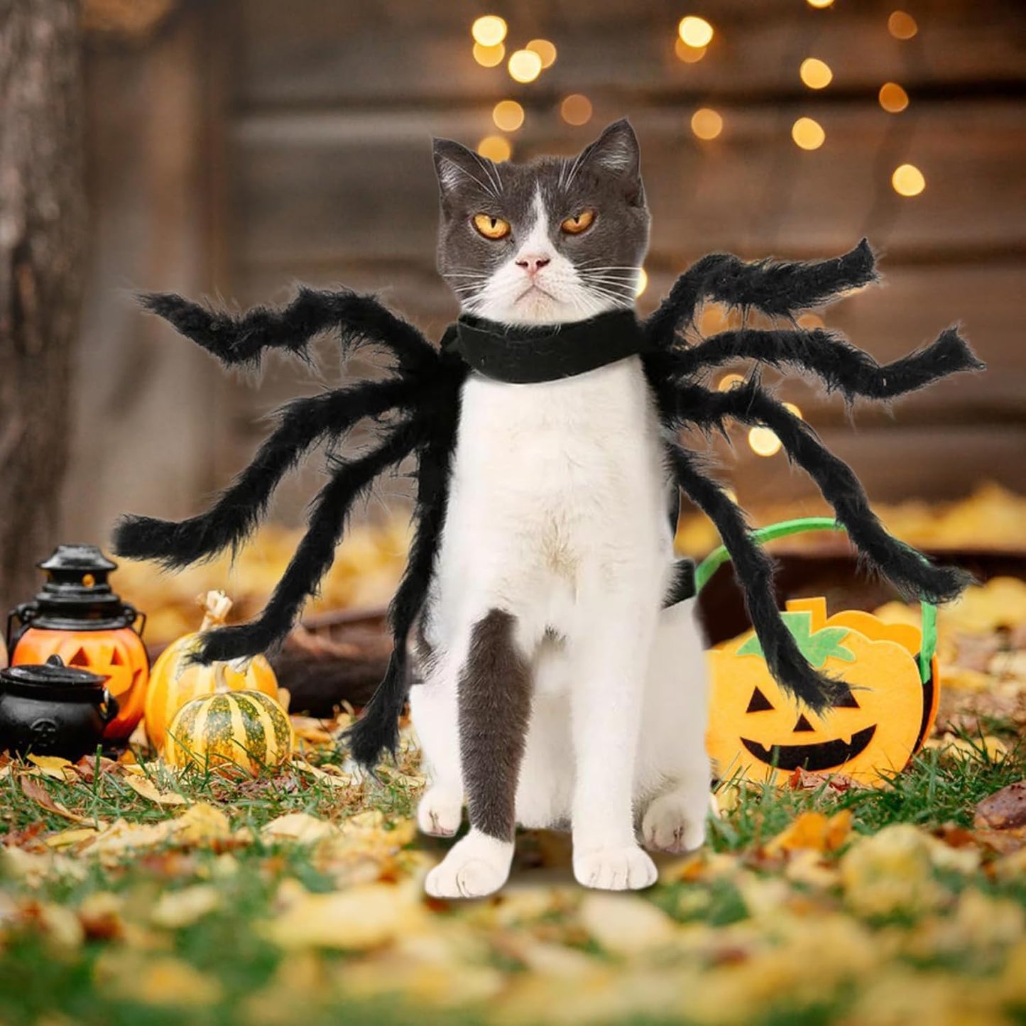 Dog Spider Costume, Scary Furry Dog Halloween Costume, Adjustable Dog Fancy Dress Costumes, Cat Outfit for Halloween Party, Masquerade, Photoshoots, S Spider Dog Costume