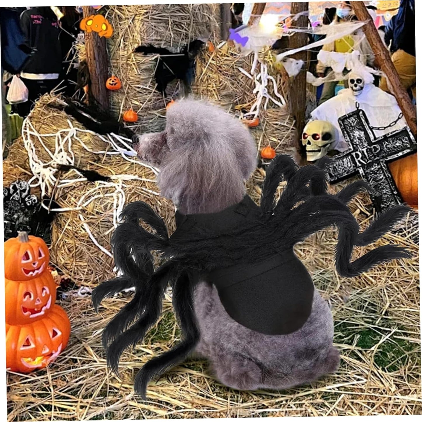 Dog Spider Costume, Scary Furry Dog Halloween Costume, Adjustable Dog Fancy Dress Costumes, Cat Outfit for Halloween Party, Masquerade, Photoshoots, S Spider Dog Costume